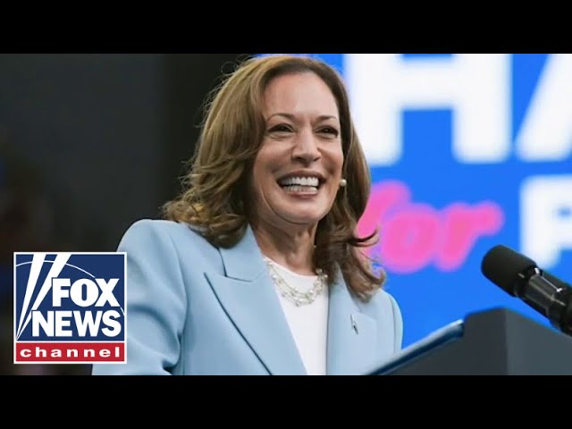 ⁣Did Kamala do ‘irreparable’ harm to the Dem Party?