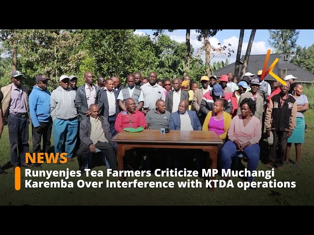 ⁣Runyenjes Tea Farmers Criticize MP Muchangi Karemba Over Interference with KTDA operations