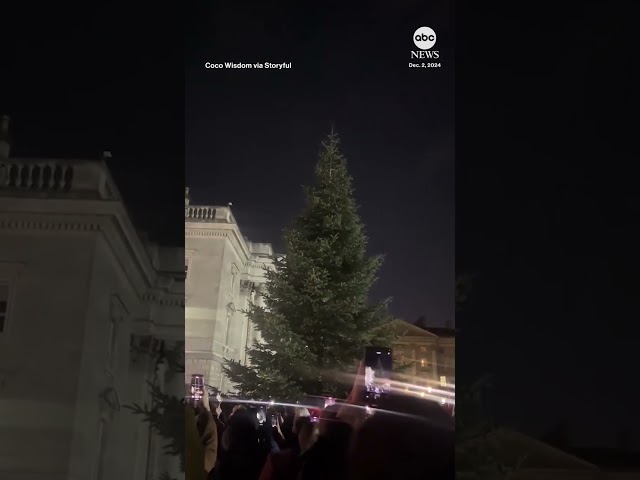 ⁣Crowd disappointed at Christmas tree-lighting countdown fail - ABC News