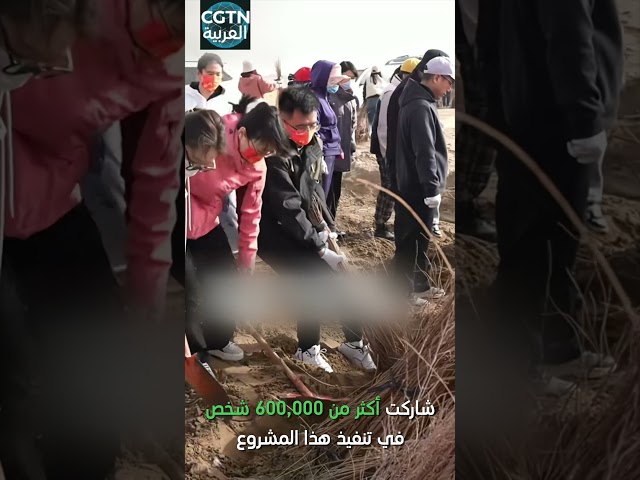 ⁣اكتمال بناء الحزام الأخضر حول أكبر صحراء في الصين بطول 3046 كيلومترا