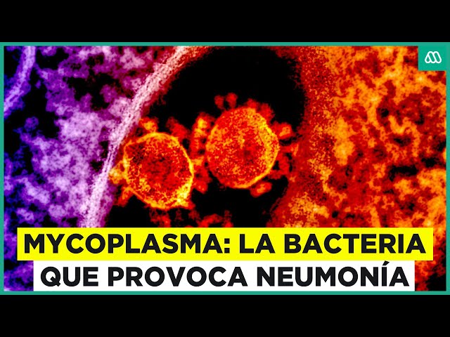 ⁣Mycoplasma: La bacteria que preocupa por generar neumonía