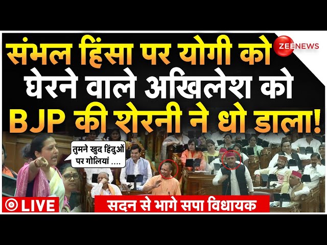 ⁣BJP MLA Ketki Singh On Akhilesh Vidhan Sabha LIVE: संभल हिंसा पर अखिलेश को BJP की शेरनी ने धो डाला!