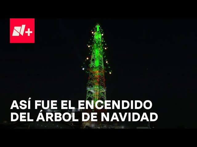 ⁣Televisa enciende su tradicional árbol de Navidad 2024 - En Punto