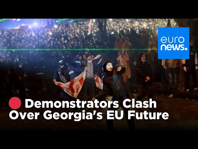 ⁣ LIVE | Protests in Georgia against government’s EU decision | Euronews