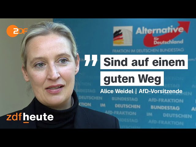 ⁣AfD-Jugend: Das Ende der "Jungen Alternative"?