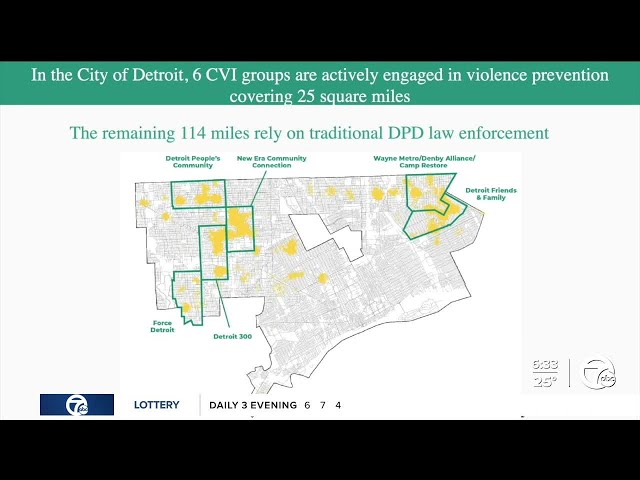 ⁣Crime prevention program shows dramatic drops in homicides, shootings in some parts of Detroit