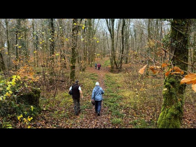 ⁣Un circuit pédagogique pour découvrir l’histoire de la forêt de Trois-Fontaines