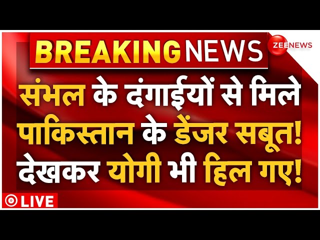 ⁣Pakistan Connection In Sambhal Mosque Clash LIVE : संभल के दंगाईयों का पाकिस्तानी कनेक्शन हिला देगा!