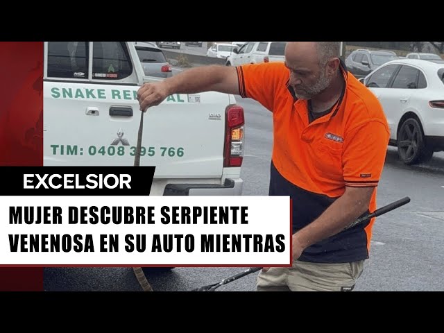 ⁣Mujer conducía en la carretera y encuentra una serpiente venenosa en su pierna