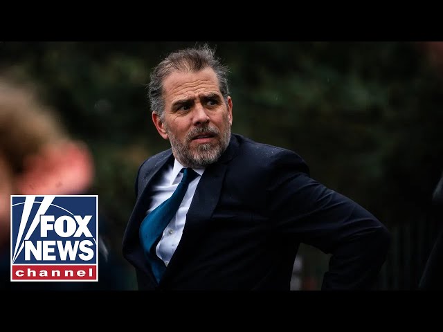 ⁣MSNBC pundit left speechless by Hunter Biden pardon news