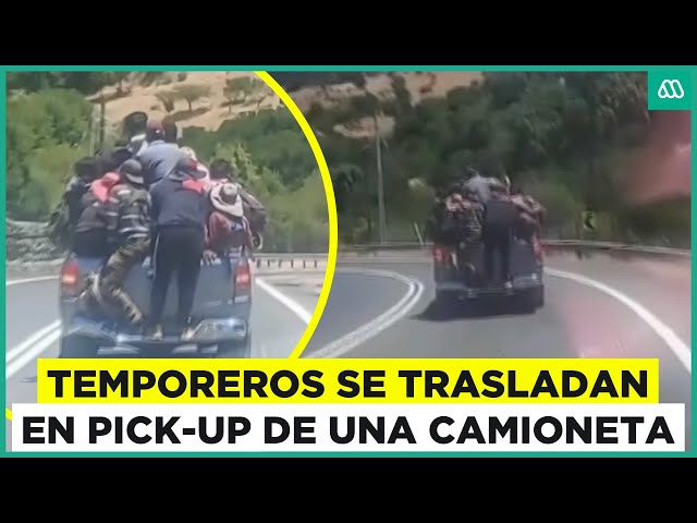 ⁣Temporeros se trasladan en el pick-up de una camioneta