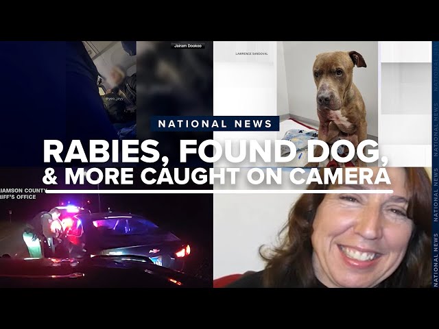 ⁣A teacher dies from rabies, a stowaway is confronted, and a pregnant woman's nightmare