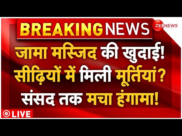 ⁣Massive Clash Over Sambhal Jama Masjid Survey LIVE: जामा मस्जिद में खुदाई! संसद तक हड़कंप! | CM Yogi