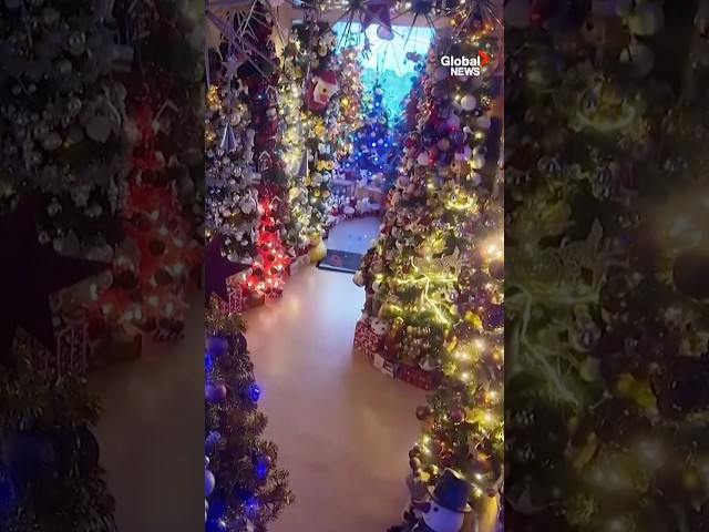 ⁣German family sets world record for most Christmas trees 