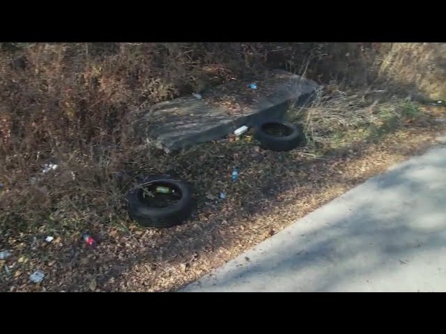 ⁣Chicago residents demand action on overgrown lot turned dumping ground