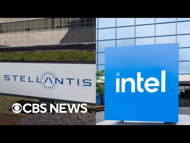 ⁣Stellantis and Intel heads resign, adding to record-breaking CEO step-downs this year