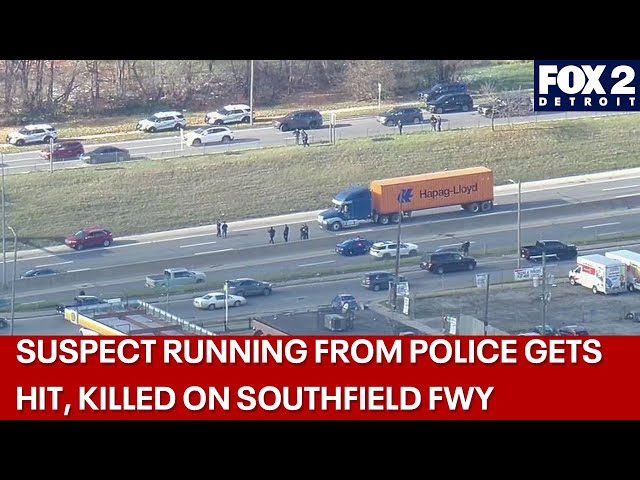 ⁣Suspect on foot hit and killed on Southfield freeway, trying to avoid police