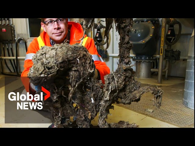 ⁣Metro Vancouver wants feds to define that "flushable" wipes aren’t really flushable