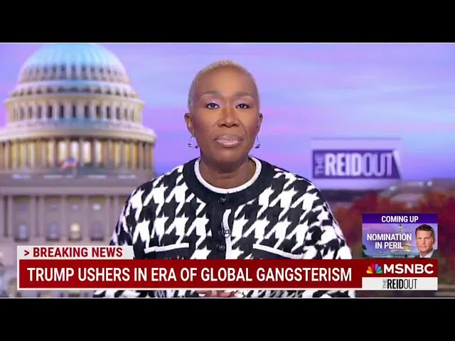 ⁣'Delusional clown' Joy Reid mocked online for unhinged Donald Trump rant