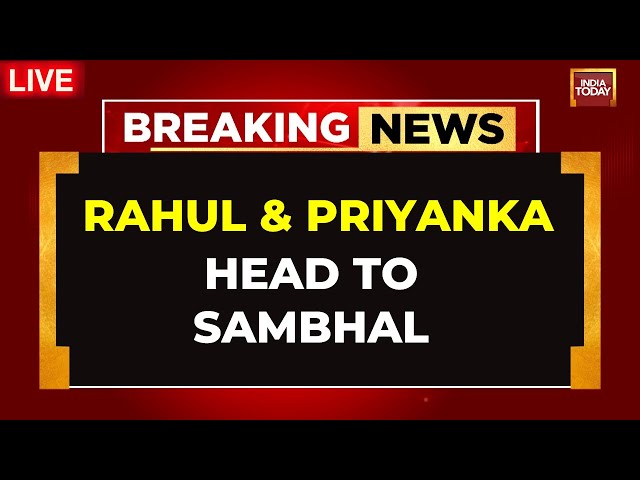 ⁣Rahul Gandhi Heads To Sambhal LIVE | Rahul, Priyanka Gandhi to Visit Violence-Hit Sambhal | UP News