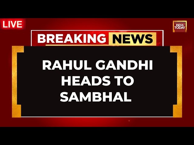 ⁣Rahul Gandhi  LIVE | Rahul Heads To Sambhal LIVE | Sambhal Violence Updates | Congress Vs BJP