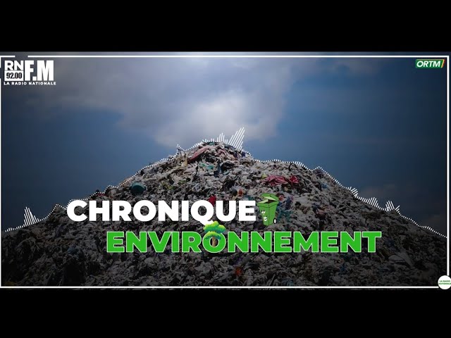 ⁣#ORTM1 #INFO: #Chronique de l'environnement sur la radio nationale du 04 décembre 2024.