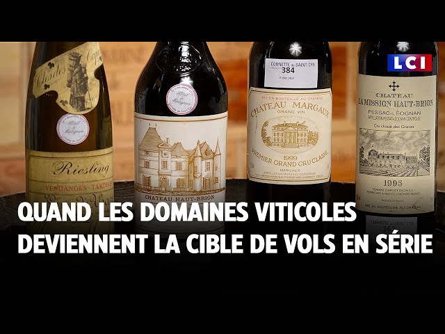 ⁣Quand les domaines viticoles deviennent la cible de vols en série sur les grands crus｜LCI