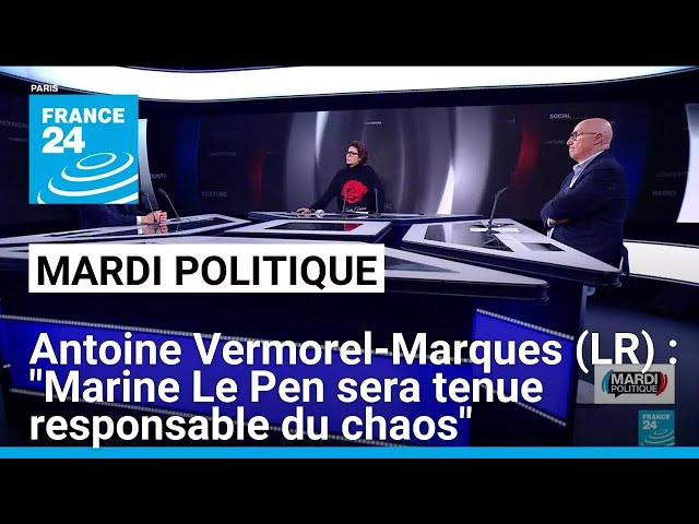 ⁣Antoine Vermorel-Marques (LR) : "Marine Le Pen sera tenue responsable du chaos" • FRANCE 2