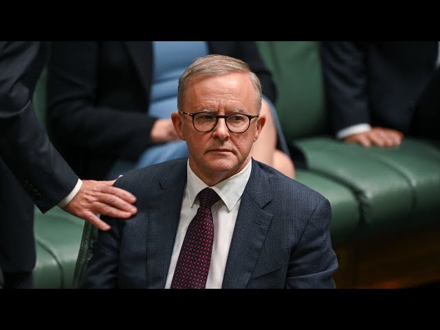 ⁣‘Albanese experiment has failed’: Andrew Bolt blasts PM’s ‘socialist dreams’