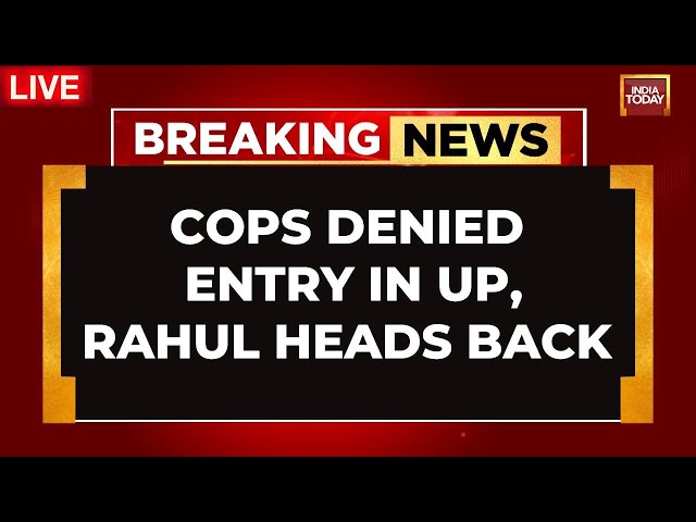 ⁣Rahul Gandhi Turns Back From Delhi-up Border, Was Denied Entry On Way To Sambhal  | UP News LIVE