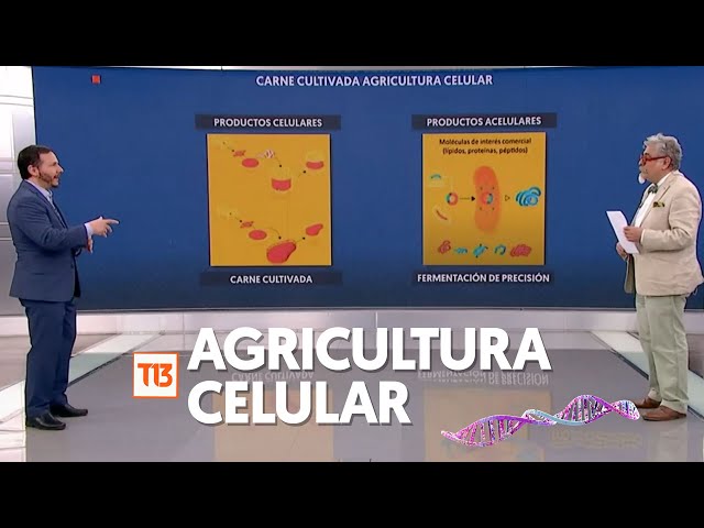 ⁣Carnes cultivadas: Qué es la "agricultura celular"