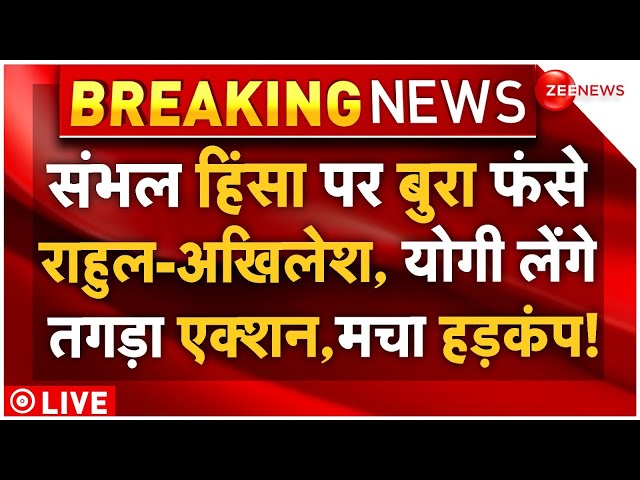 ⁣Action On Rahul-Akhilesh For Sambhal Controversy LIVE: संभल हिंसा पर फंसे राहुल-अखिलेश, होगा एक्शन!