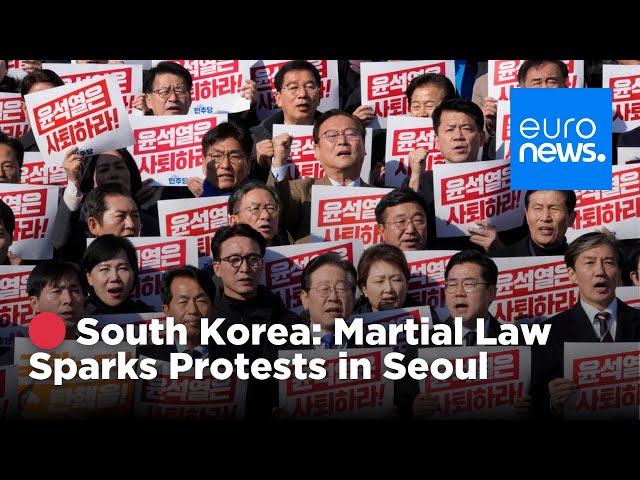 ⁣ LIVE | South Korea: Martial Law march and calls to impeach president Yoon | euronews 