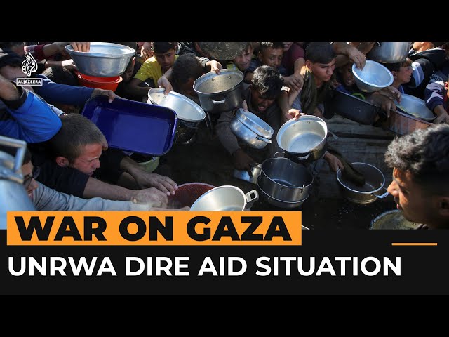 ⁣UN aid worker describes dire humanitarian conditions in Gaza | Al Jazeera Newsfeed