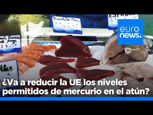 ⁣¿Va a reducir la UE los niveles permitidos de mercurio en el atún?