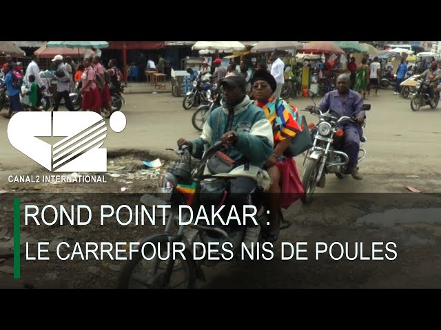 ⁣ROND POINT DAKAR :  LE CARREFOUR DES NIS DE POULES