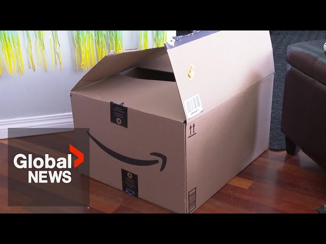 ⁣Calgary police warn residents to be vigilant of porch pirates after returning stolen loot