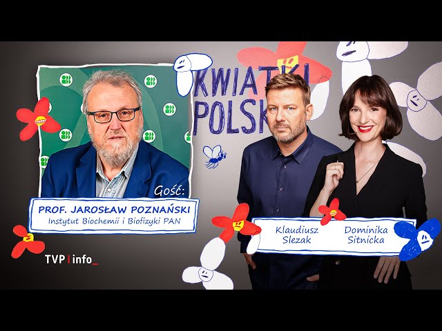 ⁣Piękna orkiestra z okazji Barbórki | KWIATKI POLSKIE