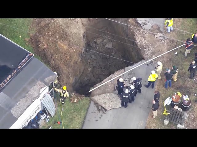 ⁣Search for grandmother who may have fallen into sinkhole looking for her cat