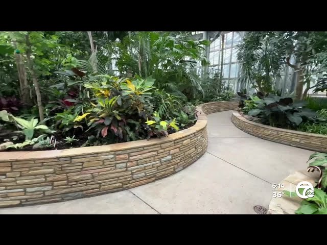 ⁣Detroiters get first look inside refreshed Anna Scripps Whitcomb Conservatory