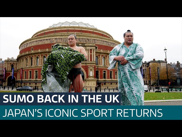 ⁣Fancy watching sumo wrestling in the historic Royal Albert Hall? Yes, really | ITV News