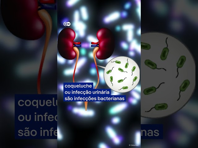 Quando tomar antibióticos e os riscos do uso inadequado