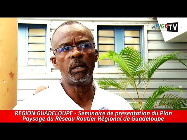 ⁣Région Guadeloupe : Séminaire de présentation du Plan Paysage du Réseau Routier de Guadeloupe