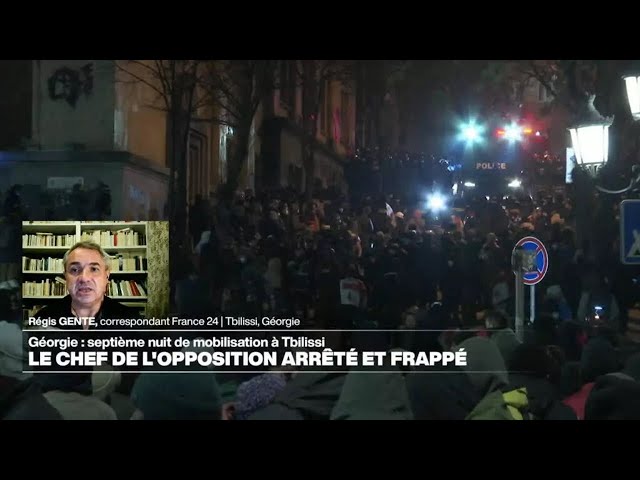 ⁣Septième nuit de mobilisation en Géorgie, des opposants arrêtés • FRANCE 24