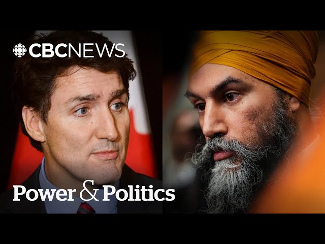 ⁣NDP pushes for more Canadians to get $250 rebate cheques | Power & Politics