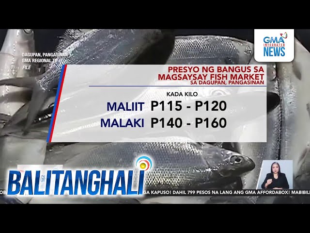 ⁣Presyo ng bangus sa Magsaysay fish market sa Dagupan, Pangasinan | Balitanghali