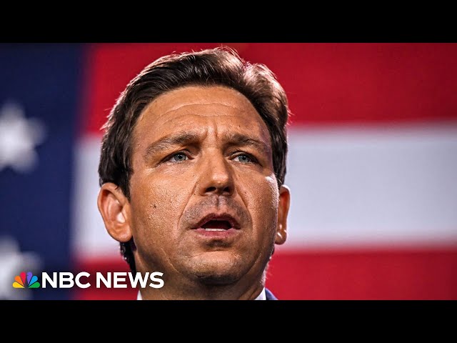 ⁣DeSantis has ‘extraordinary resume,’ former Trump admin official says