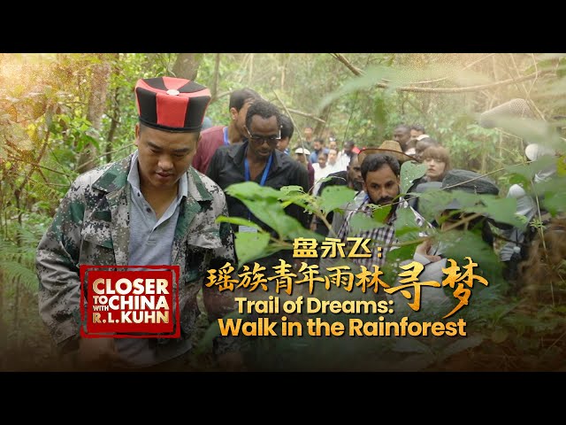 ⁣Trail of dreams: Walk in the rainforest