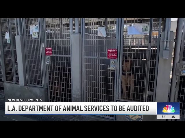 ⁣LA City Controller to conduct audit on Animal Services