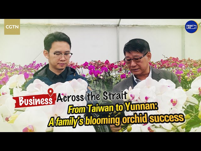 ⁣From Taiwan to Yunnan: A family's blooming orchid success